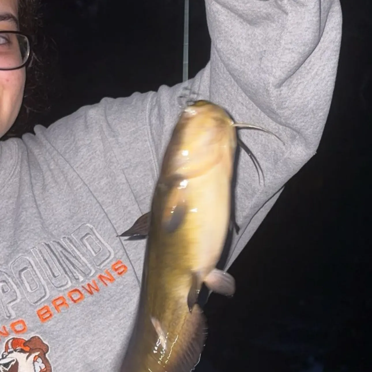 Yellow bullhead caught on Fishbrain
