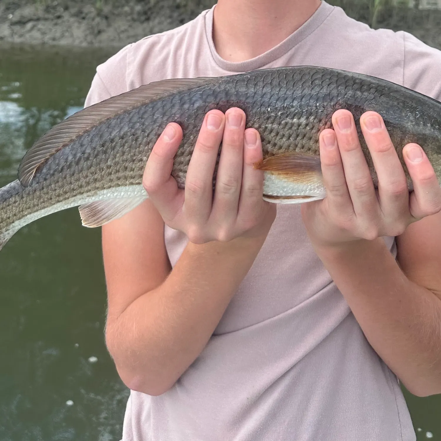 Red drum caught on Fishbrain