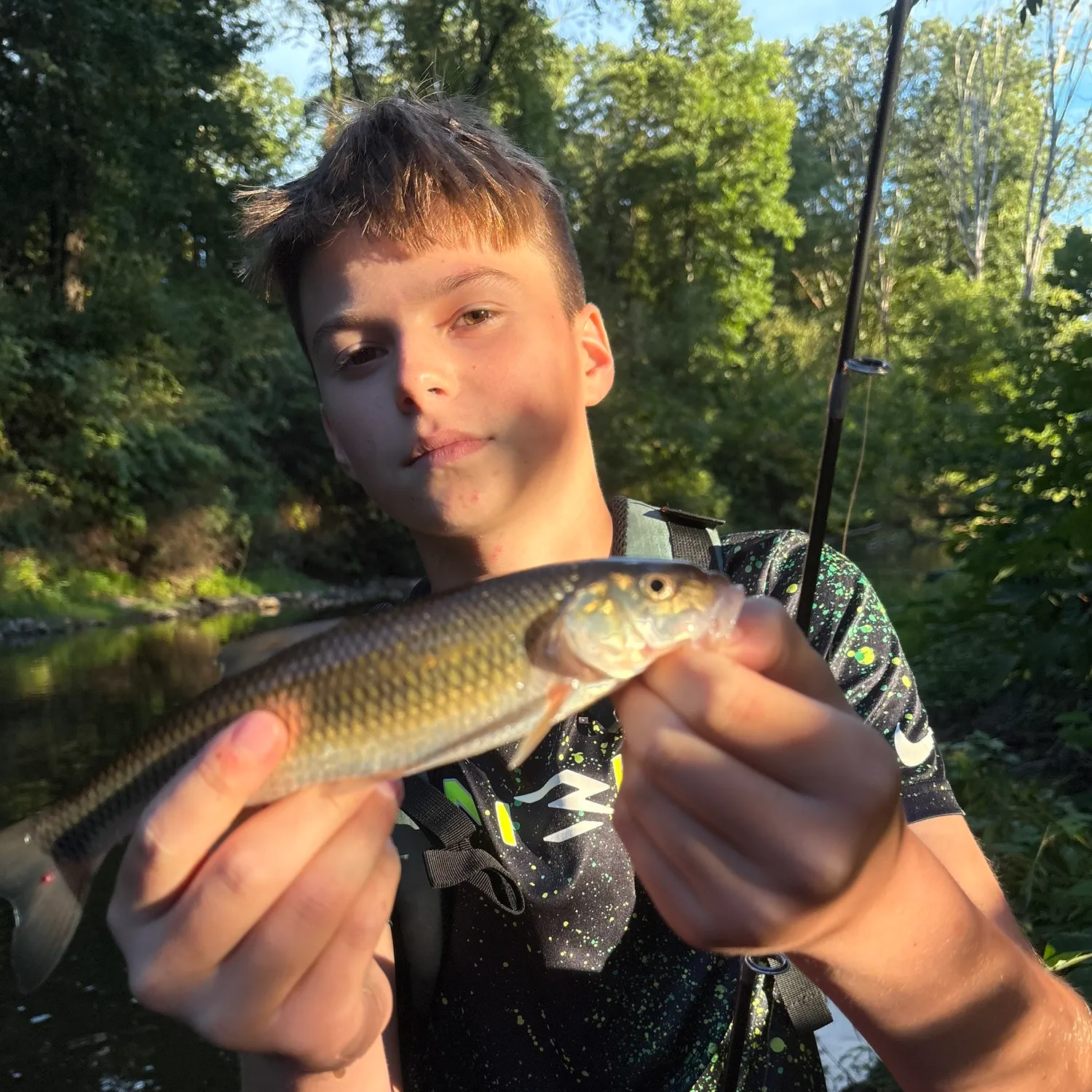 Fallfish caught on Fishbrain