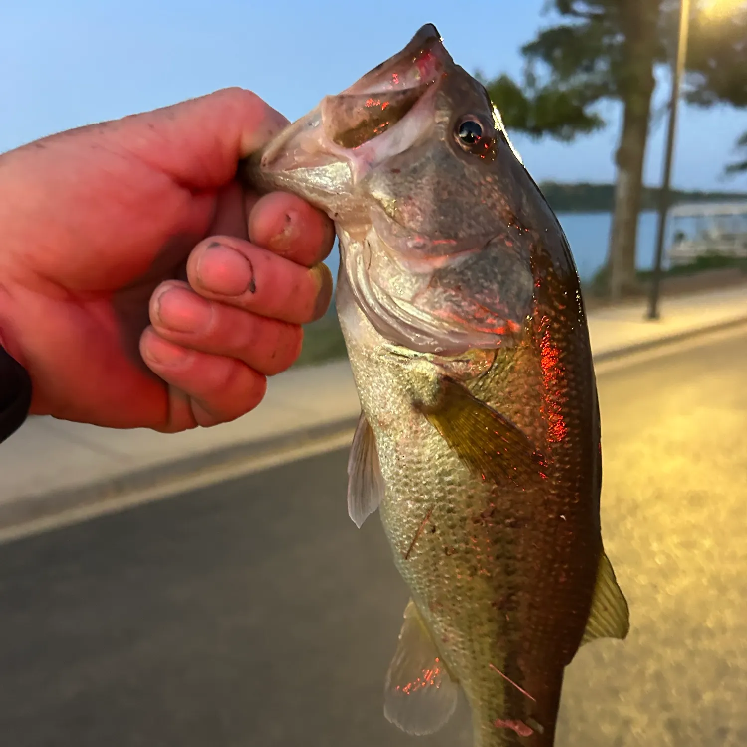 catch