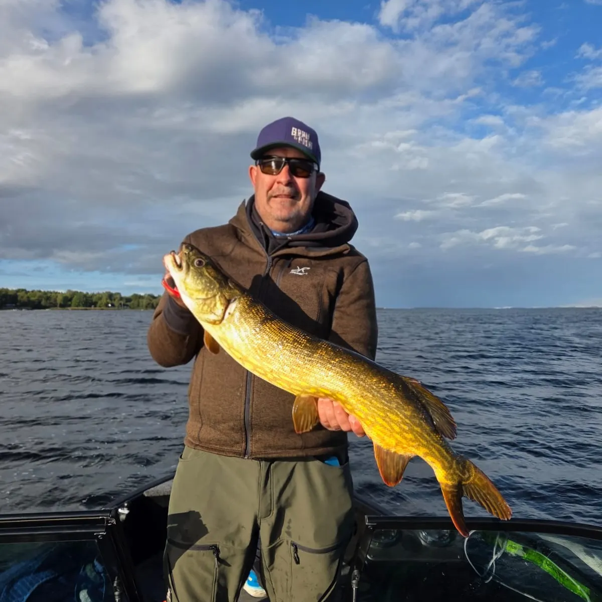 Northern pike caught on Fishbrain