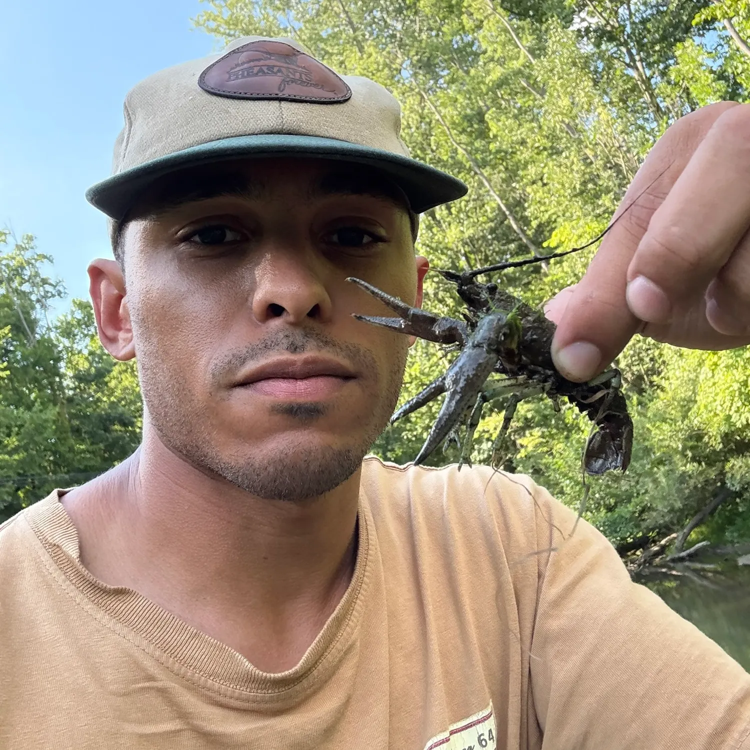 The most recent Virile crayfish catches on Fishbrain