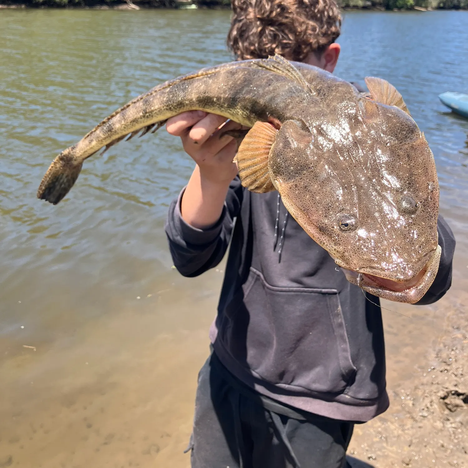 The most recent Dusky flathead catches on Fishbrain