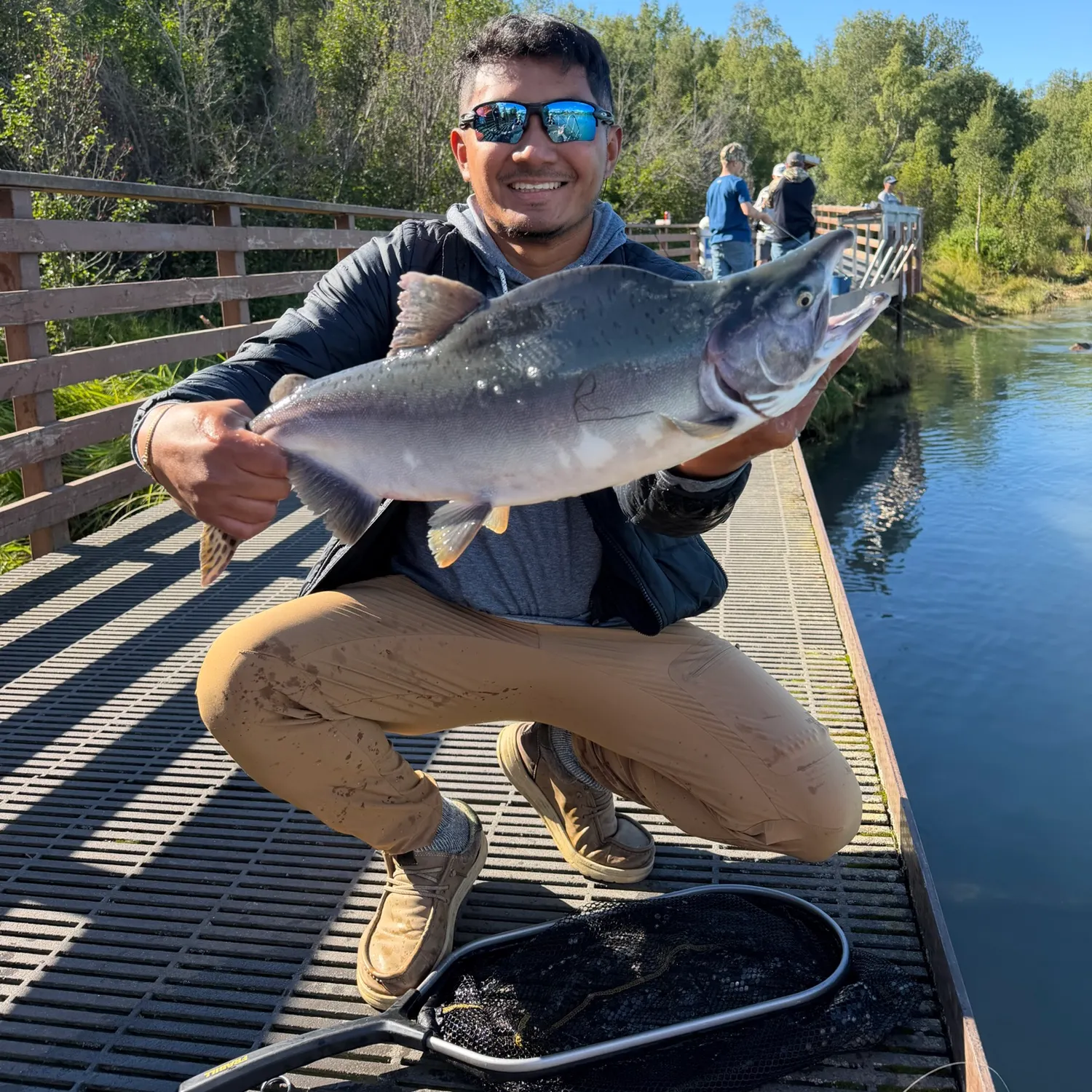 Pink salmon caught on Fishbrain