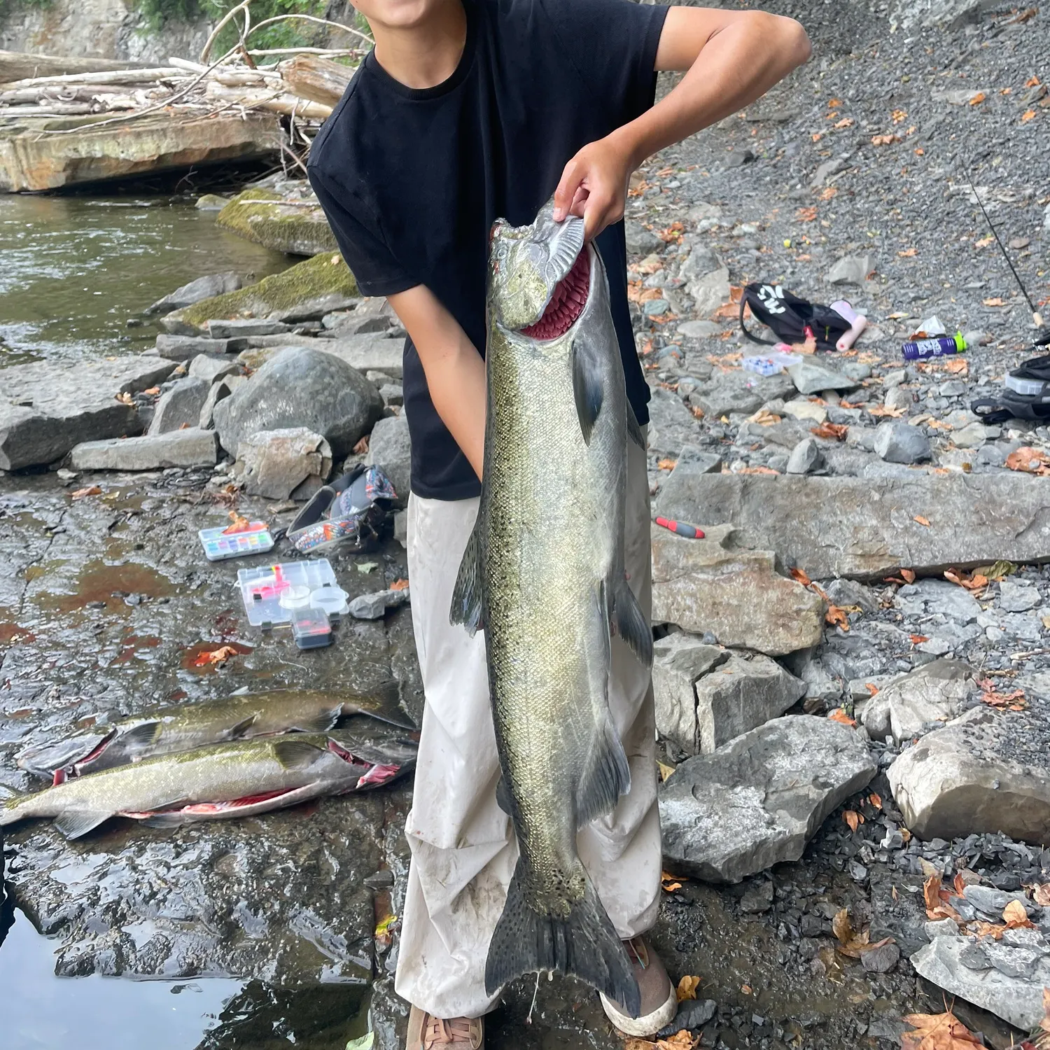 recently logged catches