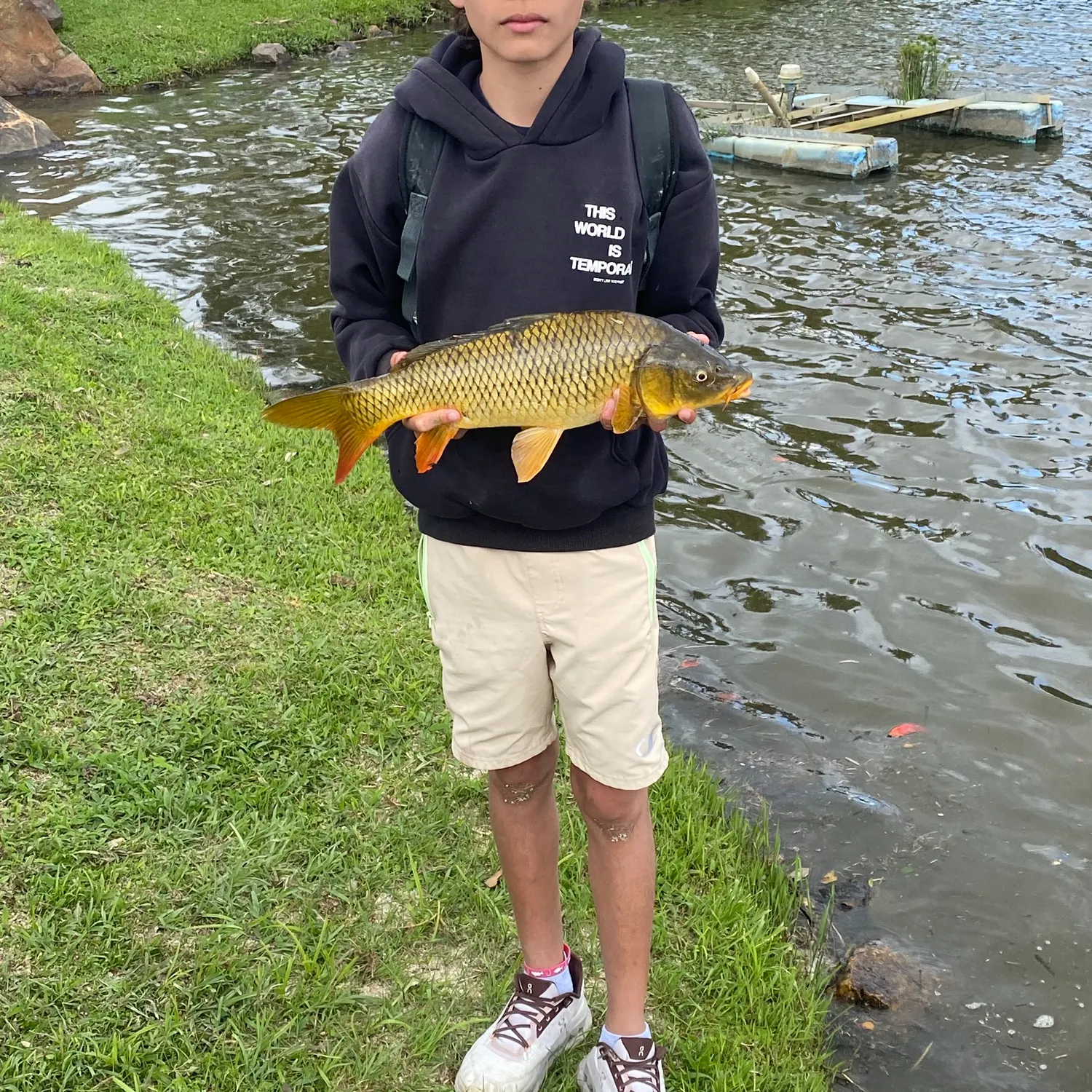 The most recent Common carp catches on Fishbrain