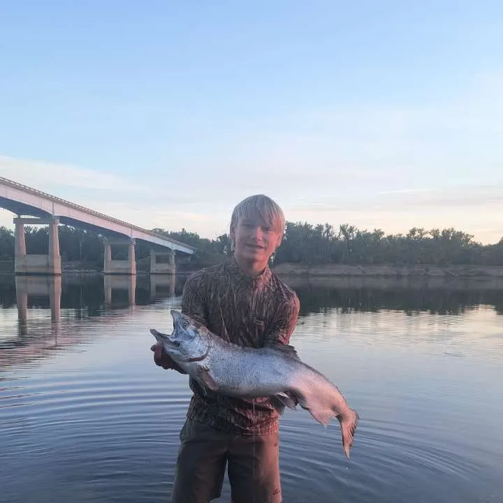 Chinook salmon caught on Fishbrain