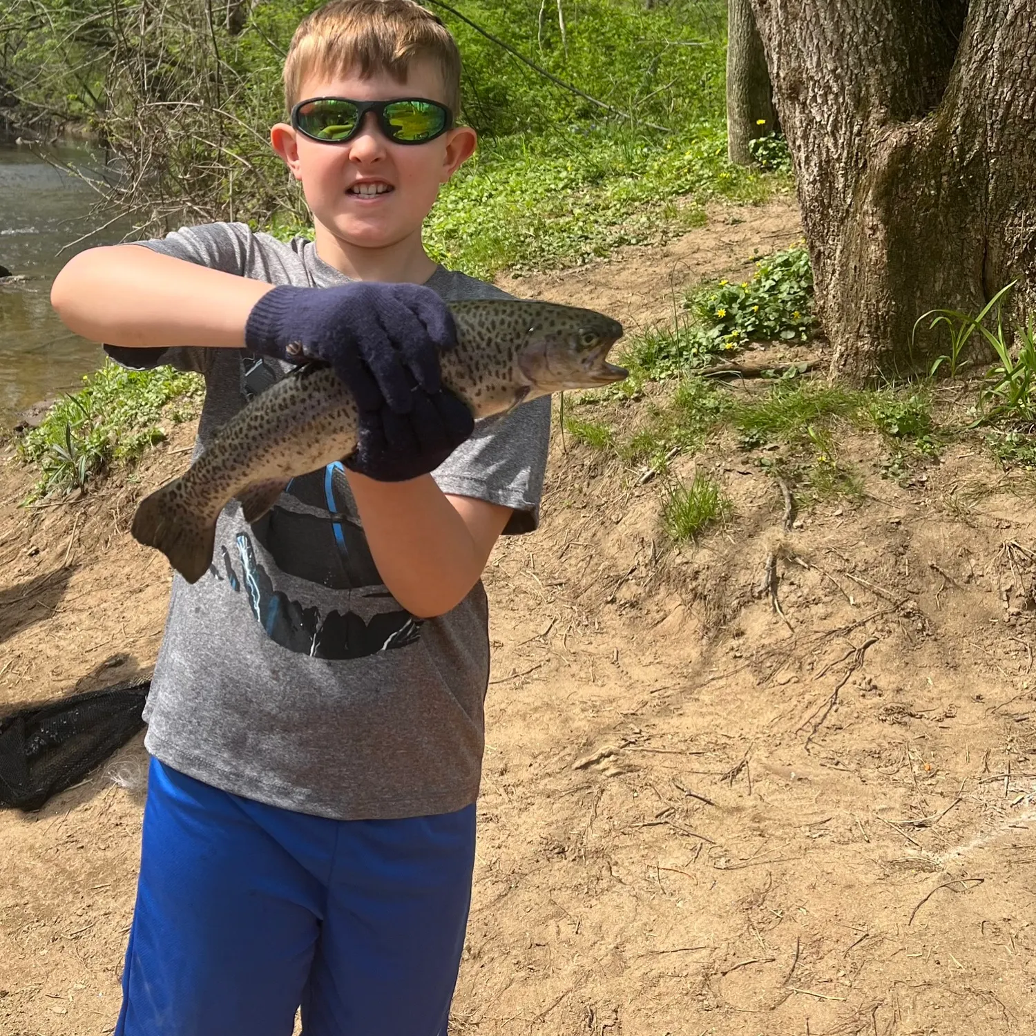 Rainbow trout caught on Fishbrain