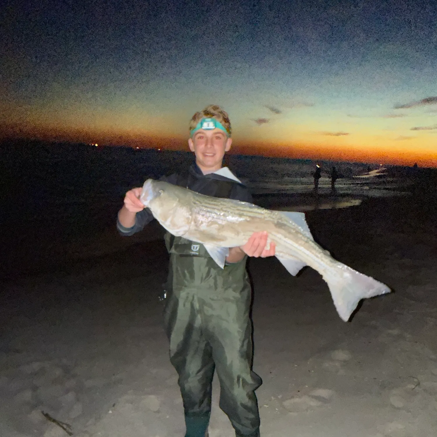 Striped bass caught on Fishbrain