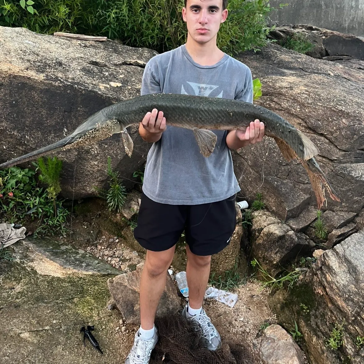 catch