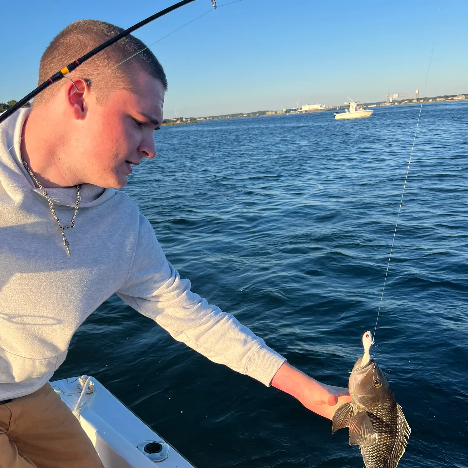 Black sea bass caught on Fishbrain