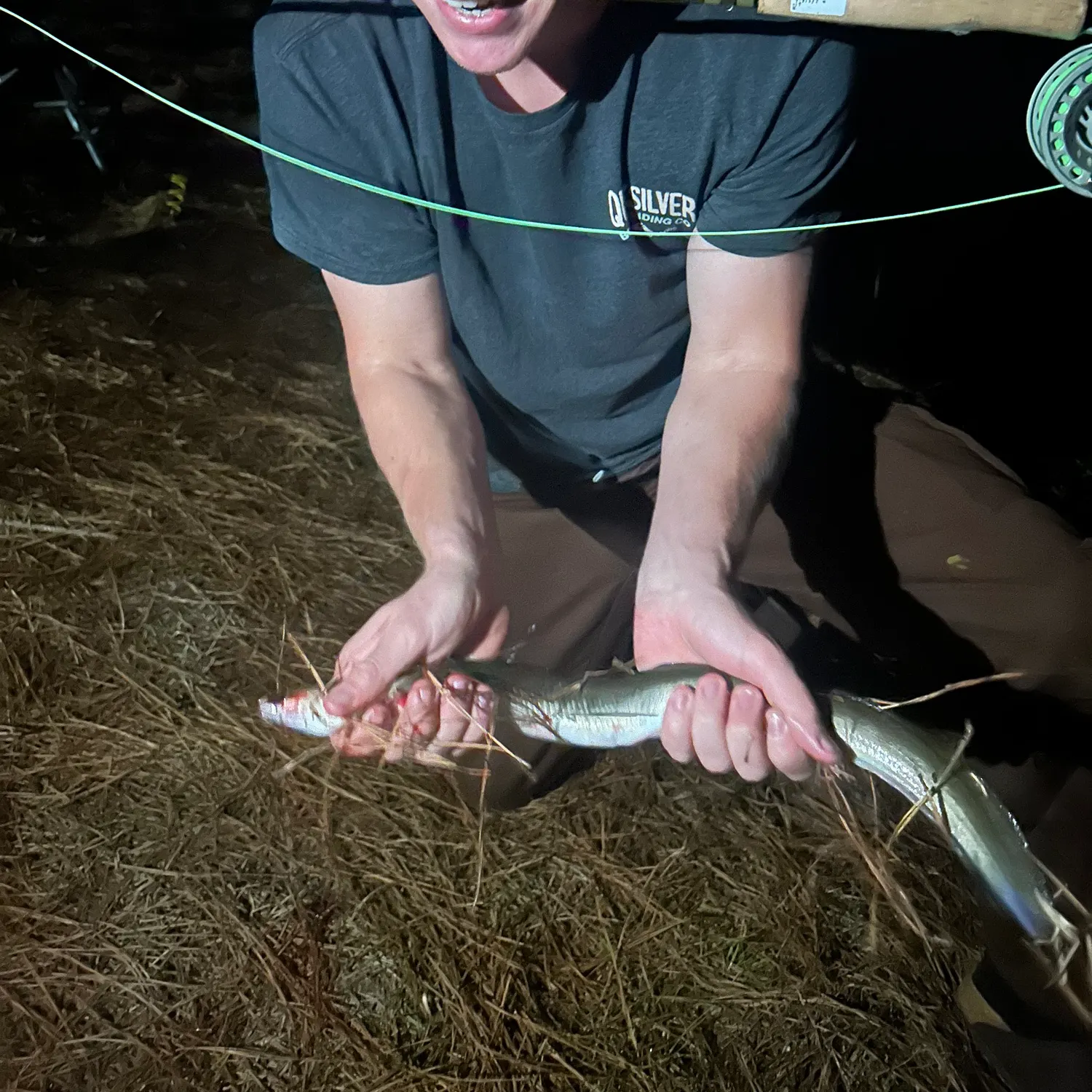 The most recent American eel catches on Fishbrain