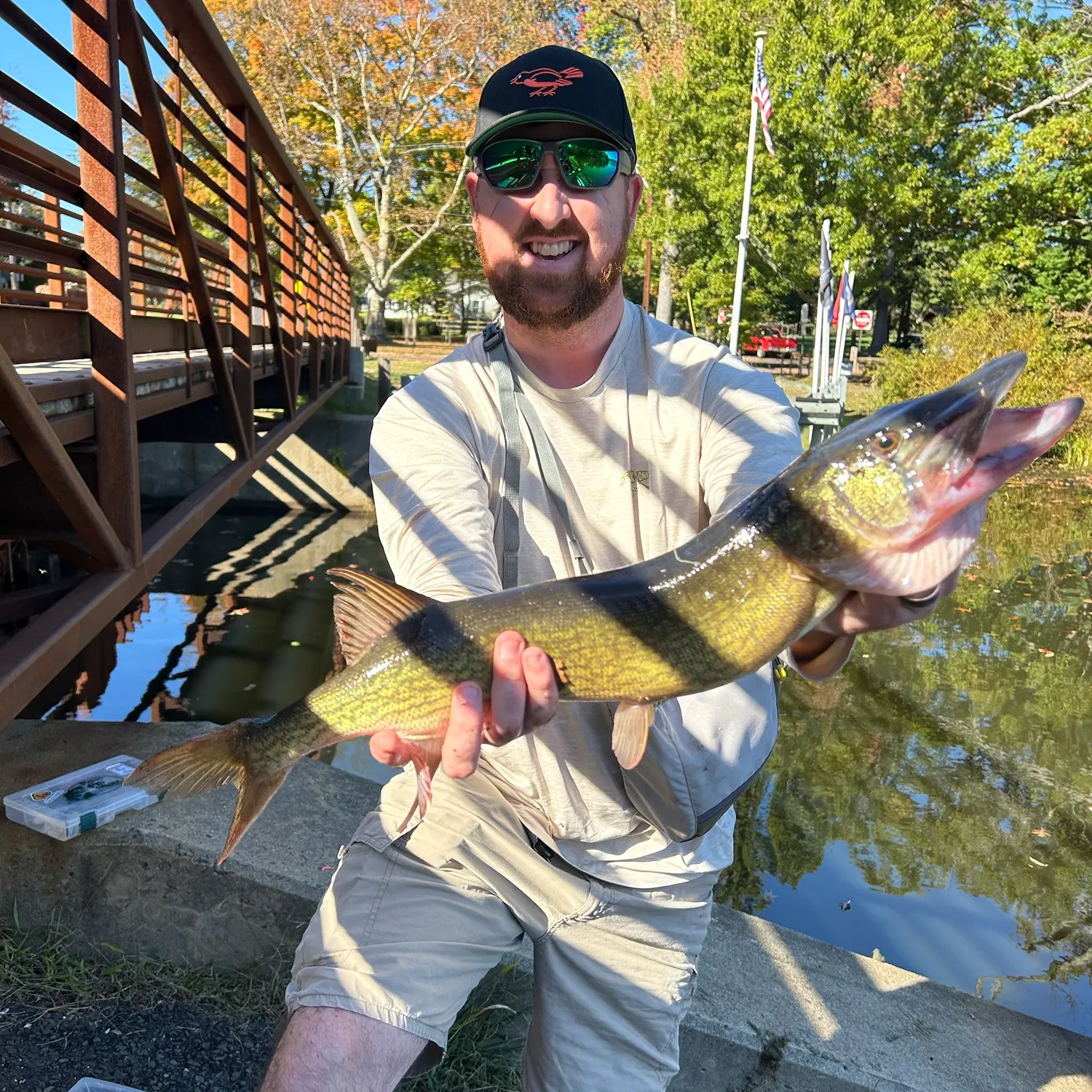 Chain pickerel caught on Fishbrain