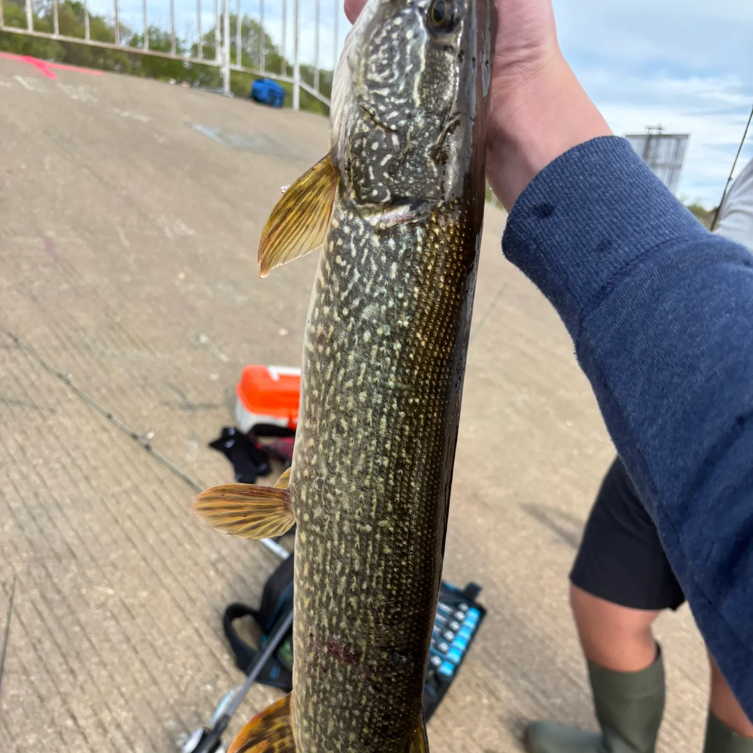 catch