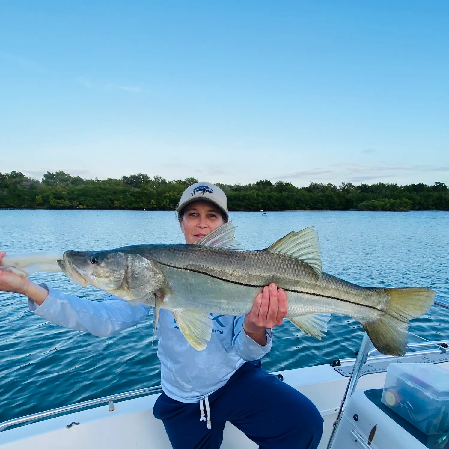 The most recent Common snook catches on Fishbrain