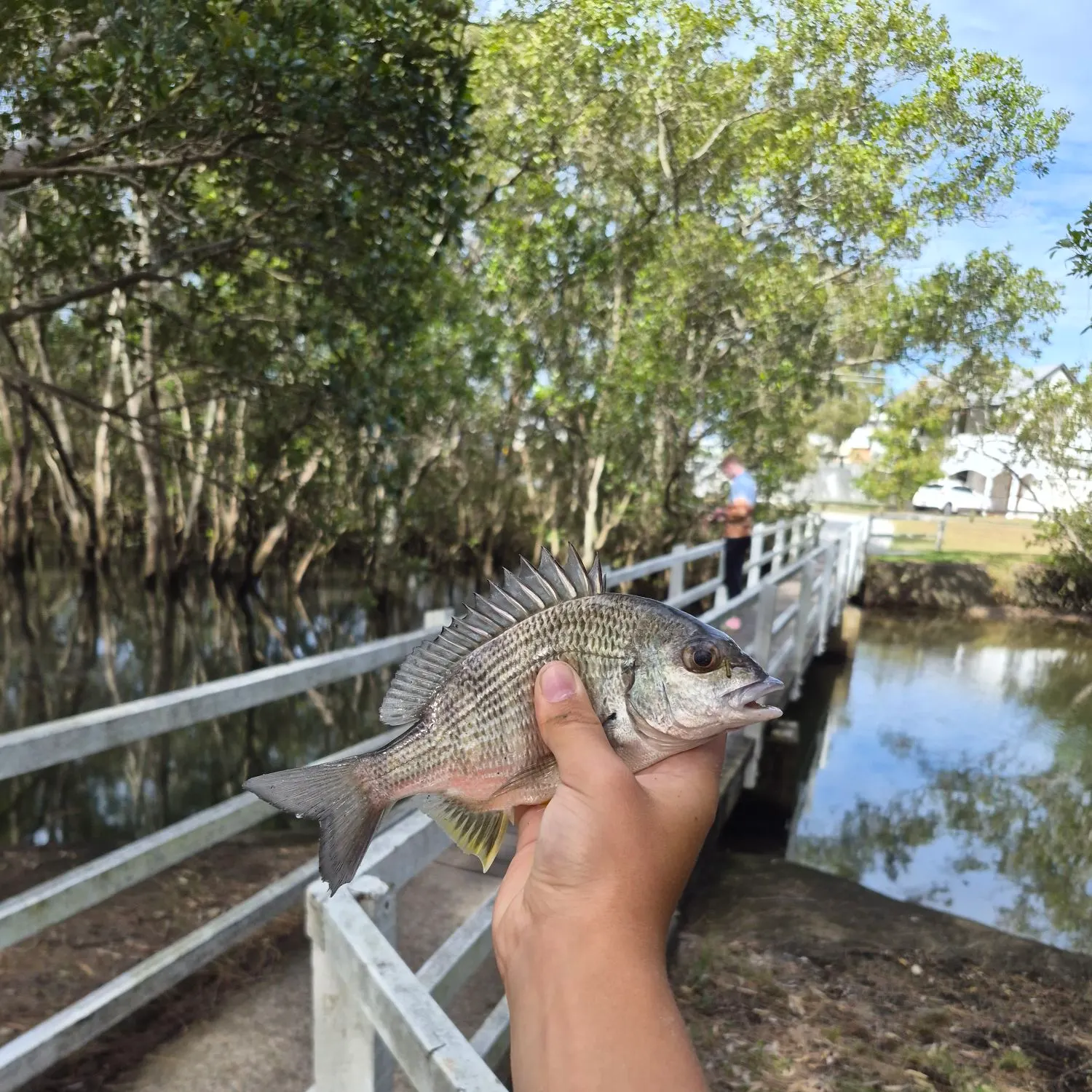 catch