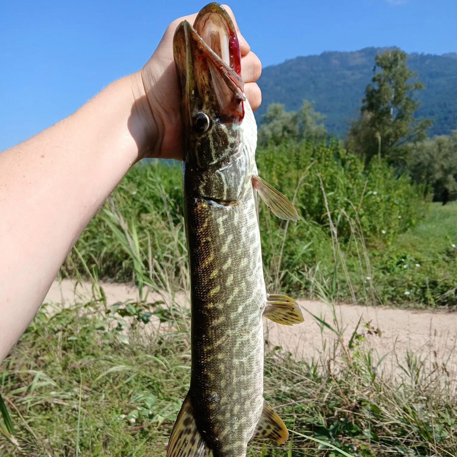 catch