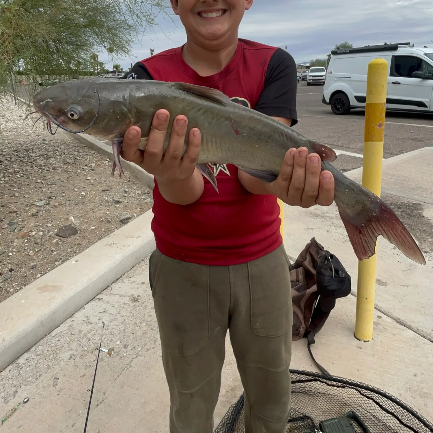 Channel catfish caught on Fishbrain