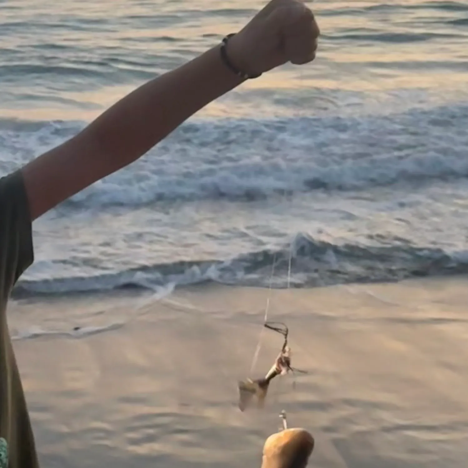 The most recent Lemon shark catches on Fishbrain