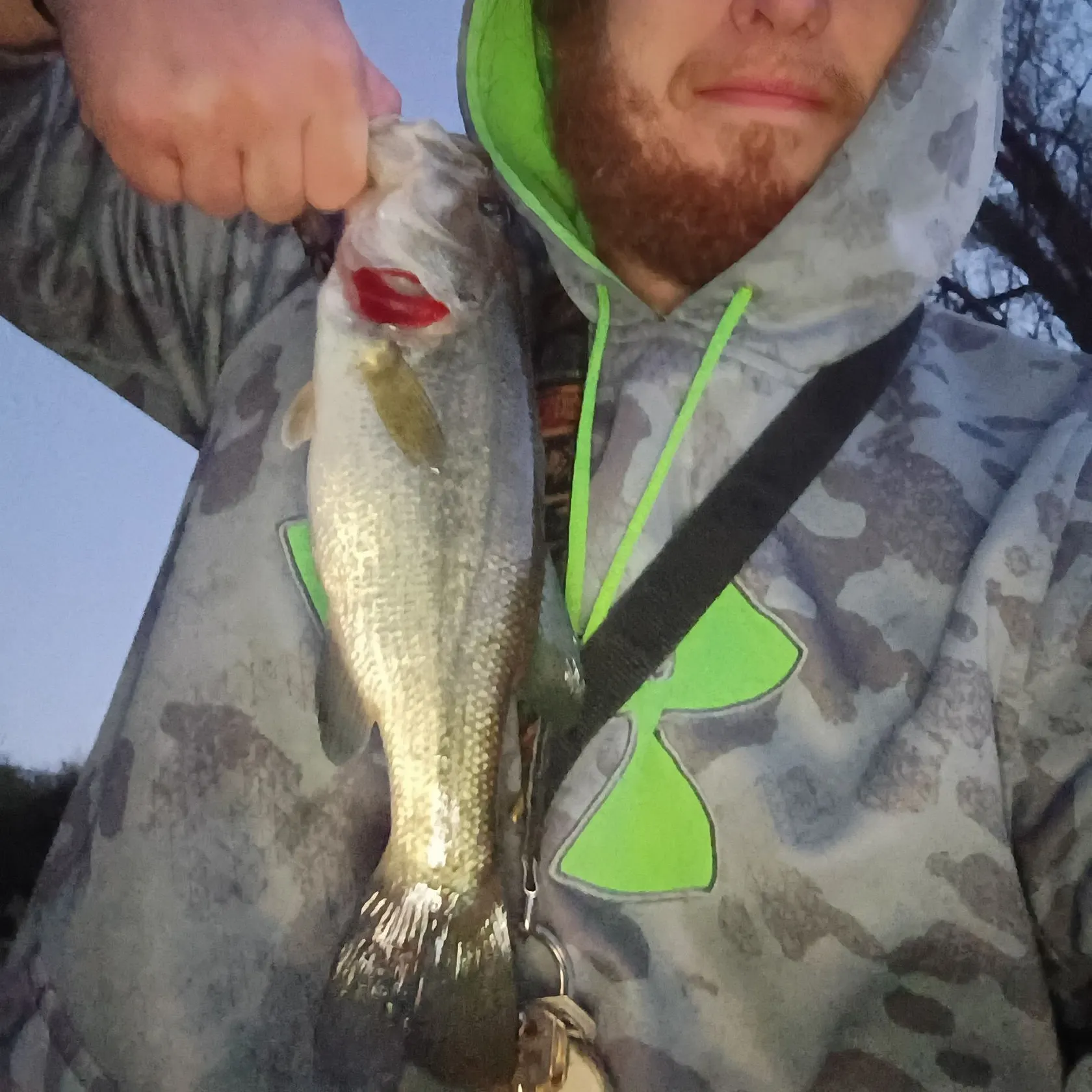 Largemouth bass caught on Fishbrain