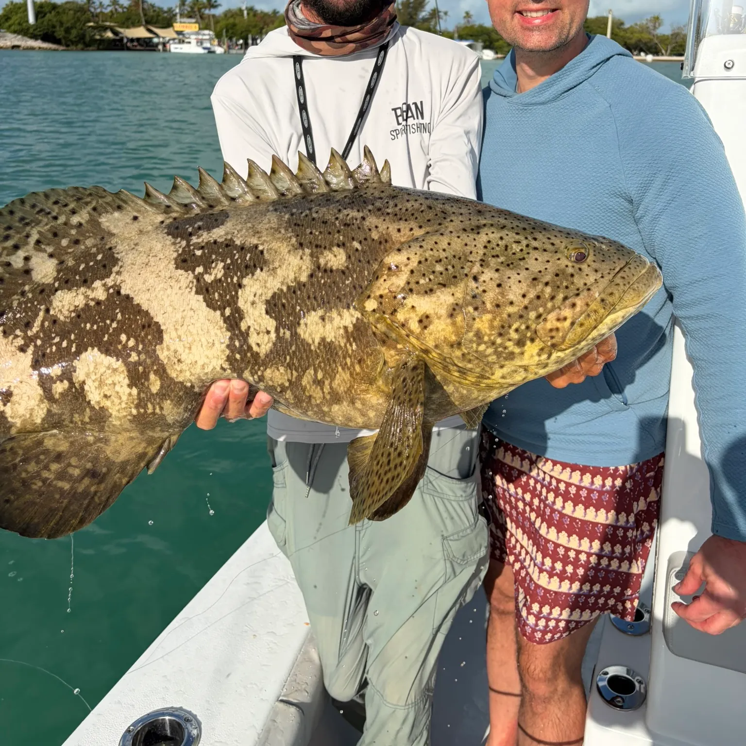 The most recent Atlantic goliath grouper catches on Fishbrain