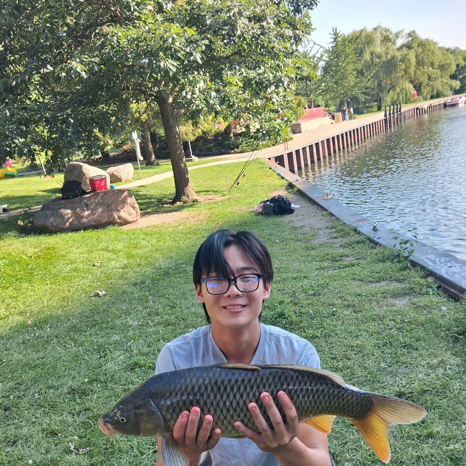 Common carp caught on Fishbrain