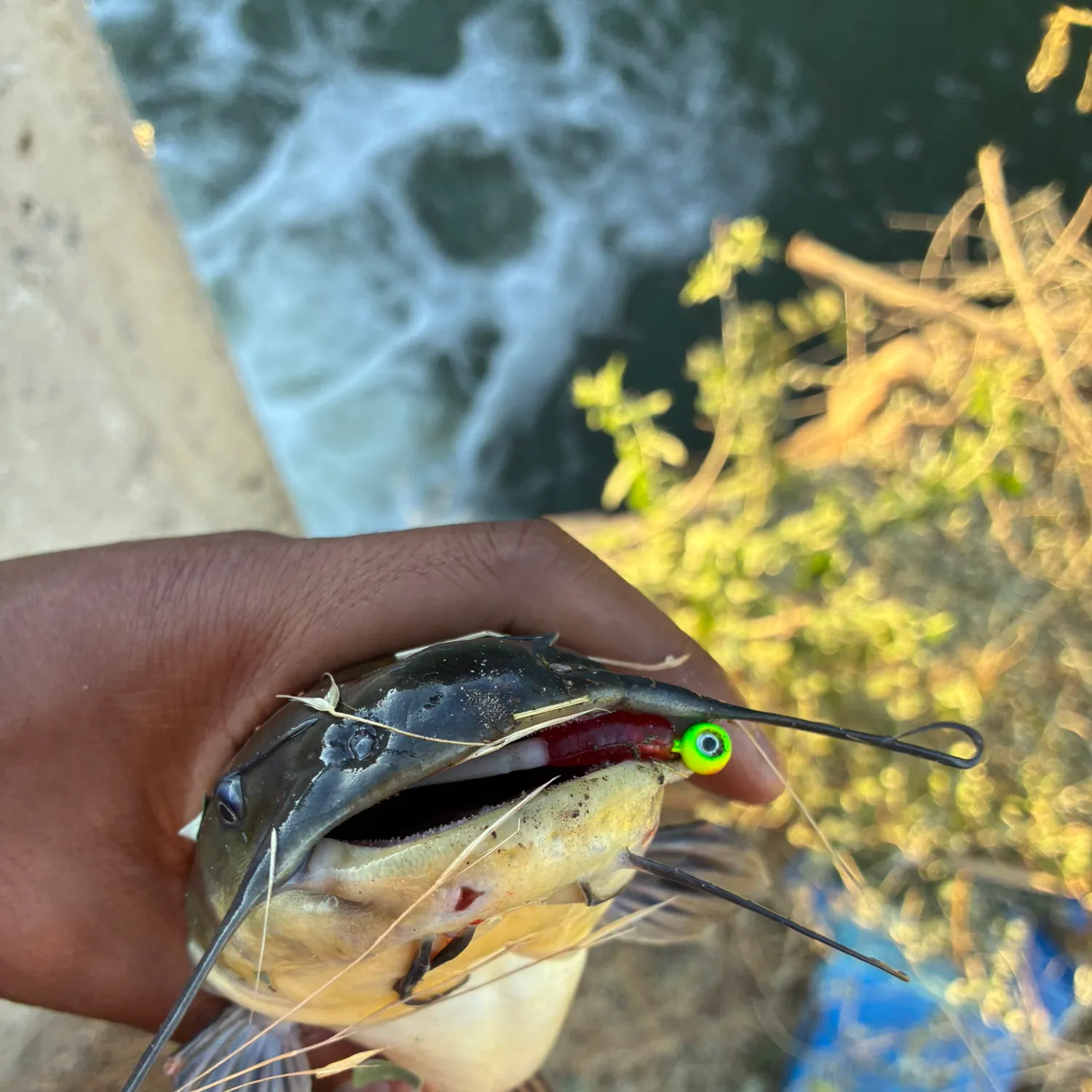 catch