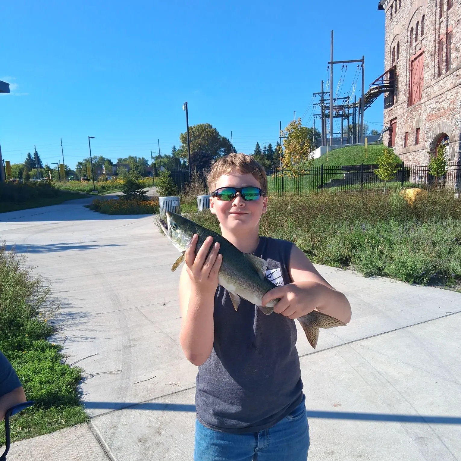 Pink salmon caught on Fishbrain