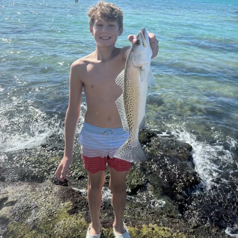 The most recent Spotted seatrout catches on Fishbrain