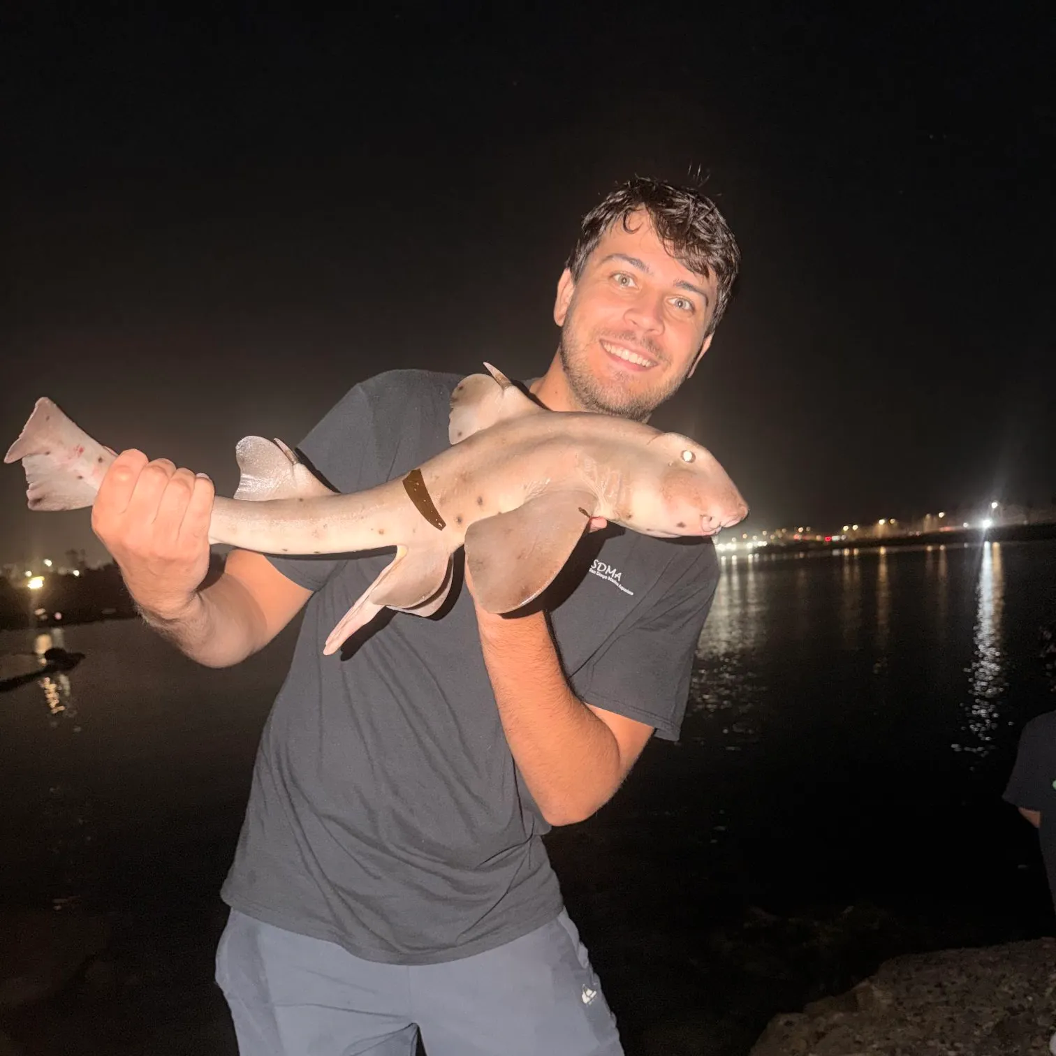 The most recent Horn shark catches on Fishbrain