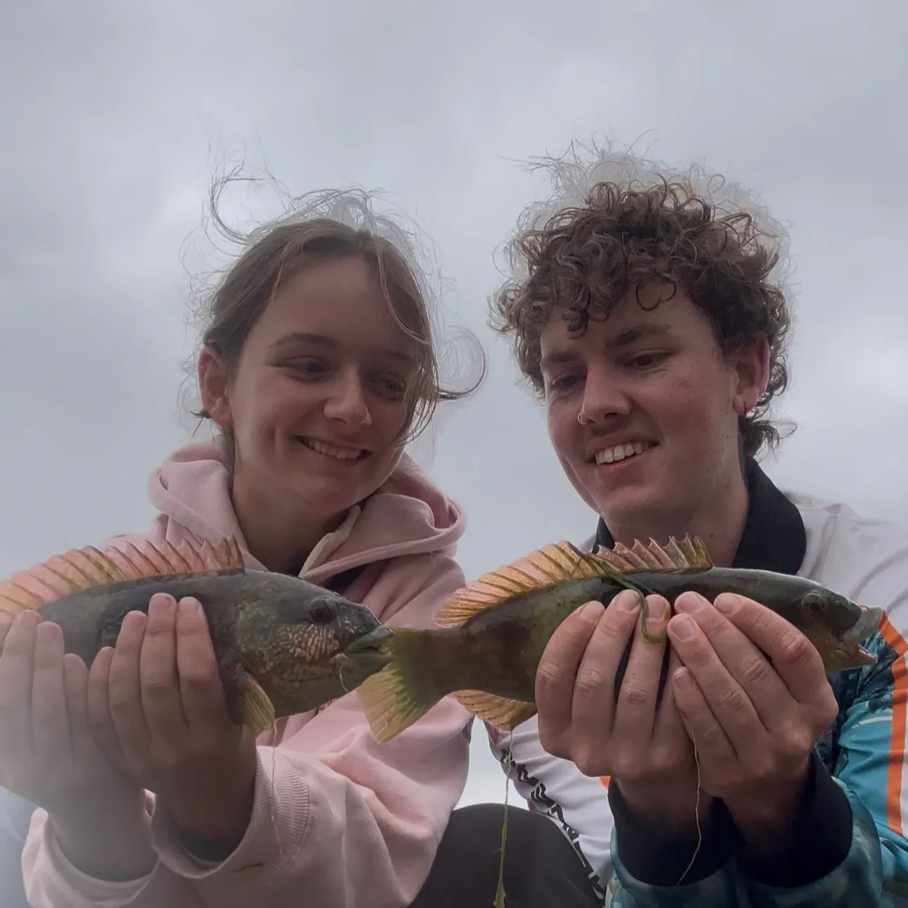 The most recent Blue-throated wrasse catches on Fishbrain