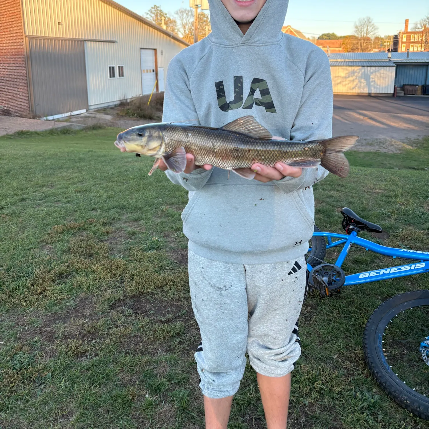 White sucker caught on Fishbrain