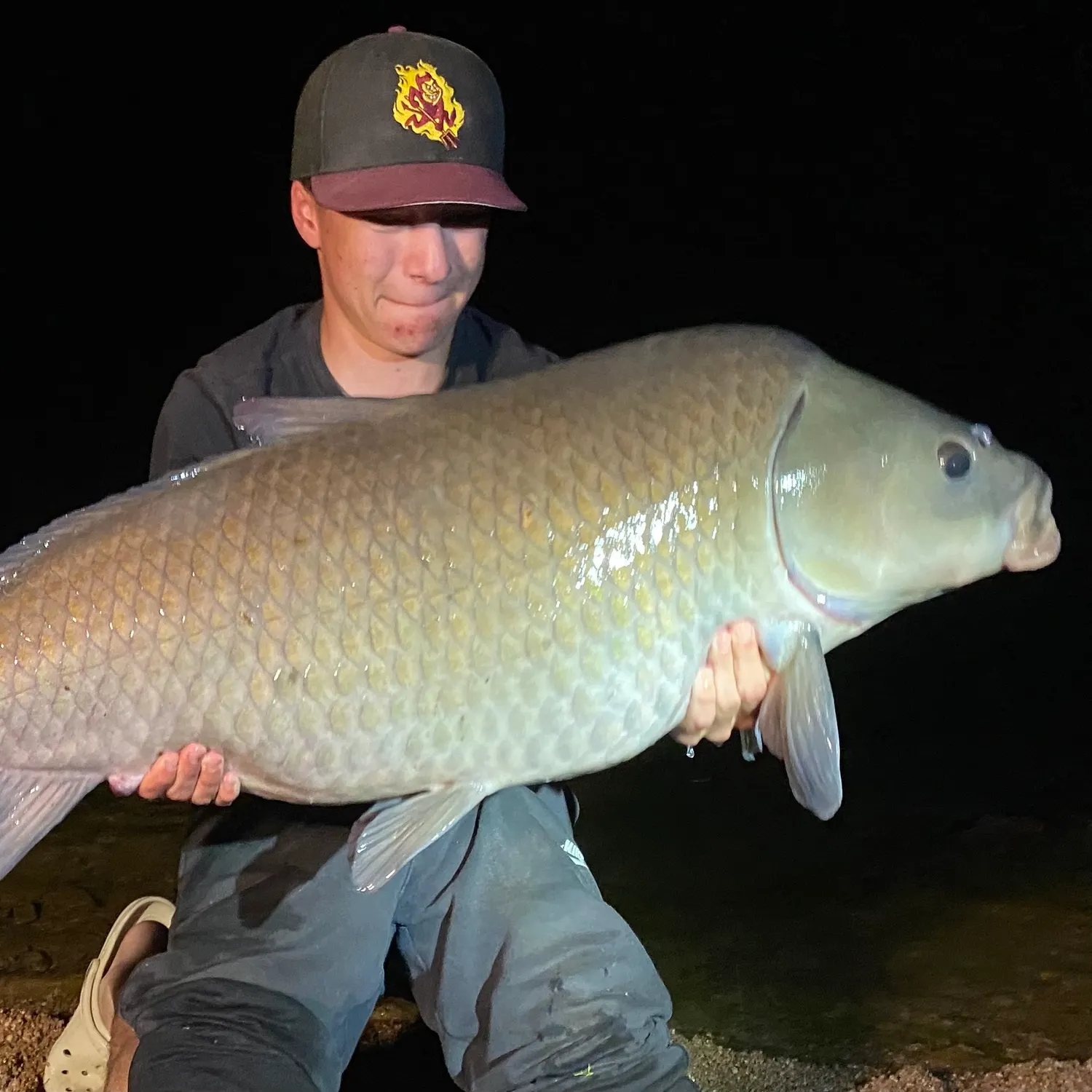 The most recent Smallmouth buffalo catches on Fishbrain