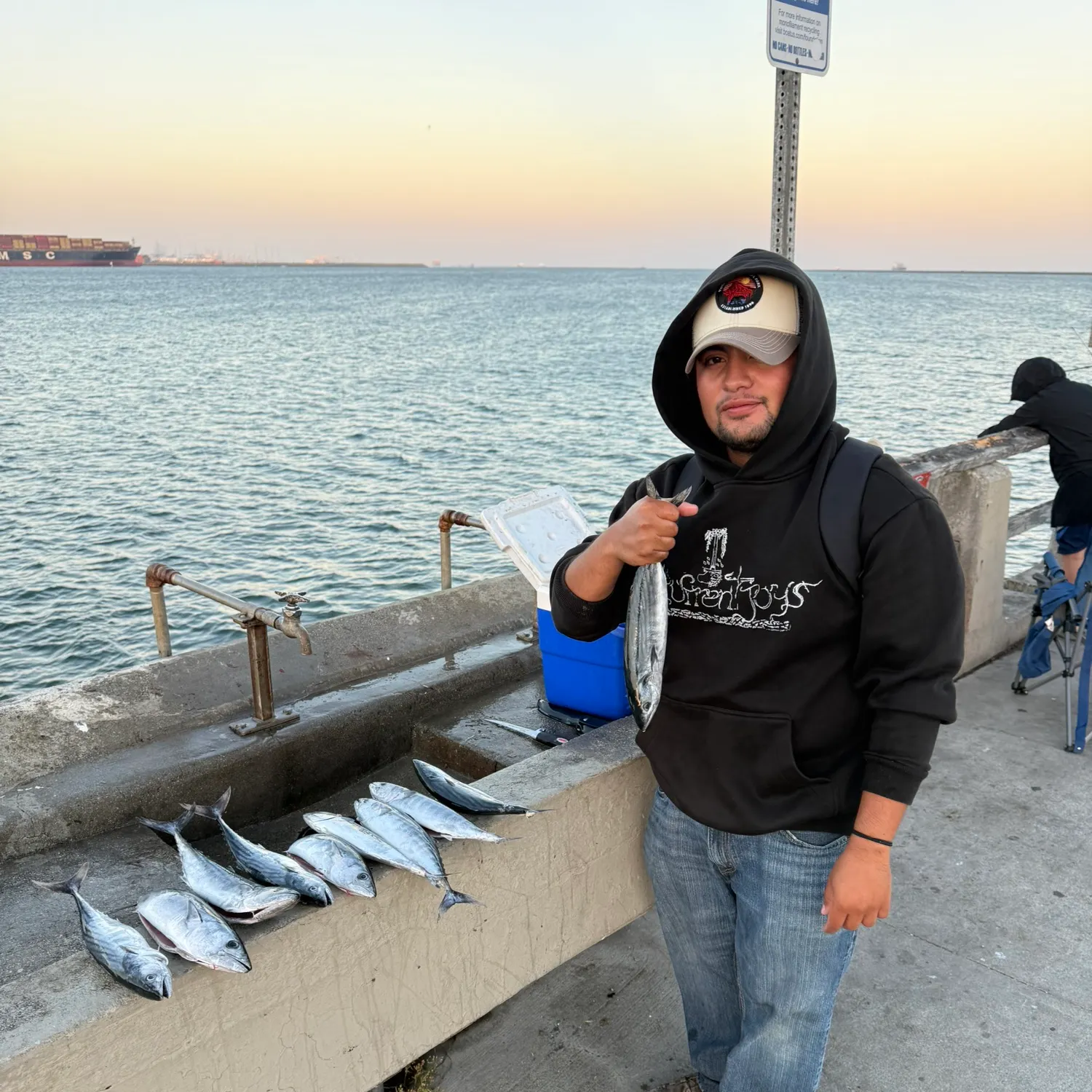 The most recent Atlantic bonito catches on Fishbrain