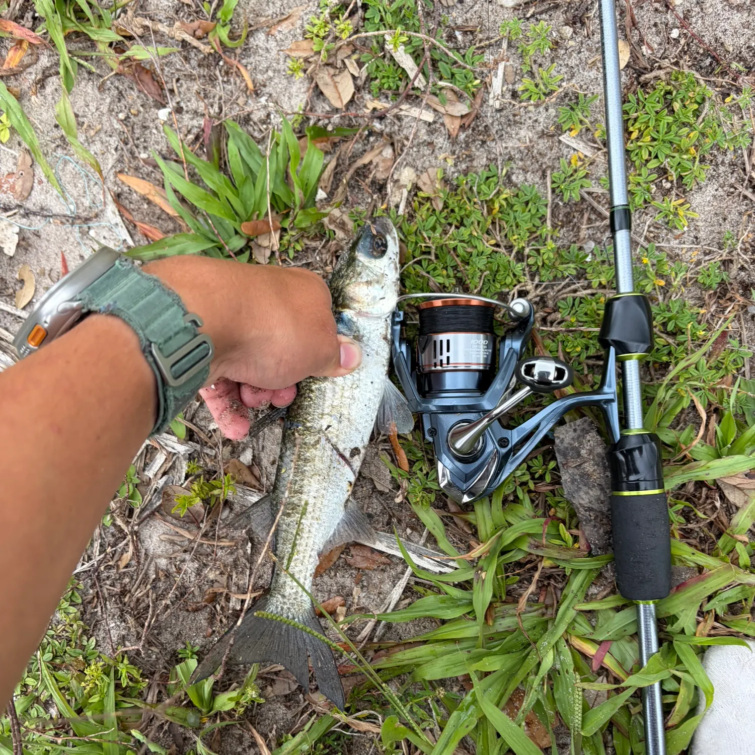 catch
