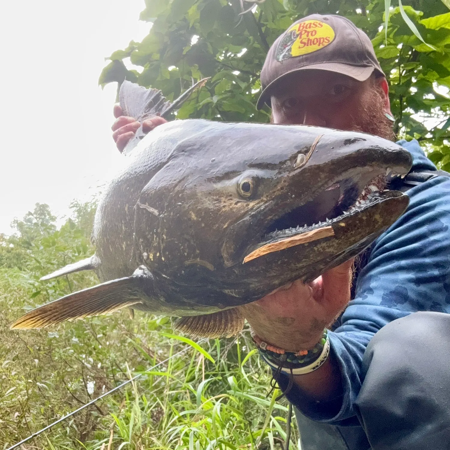 Chinook salmon caught on Fishbrain