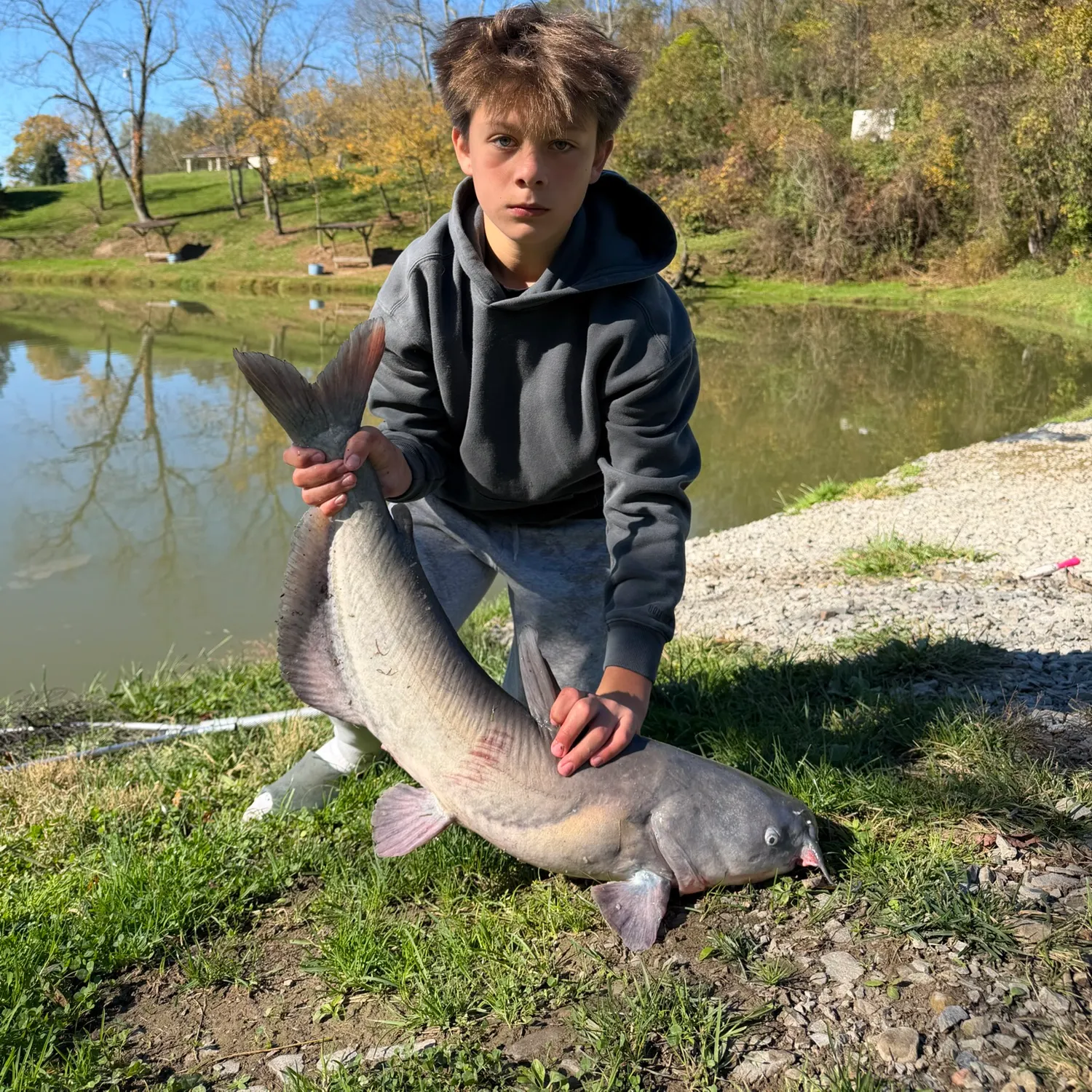 Blue catfish caught on Fishbrain
