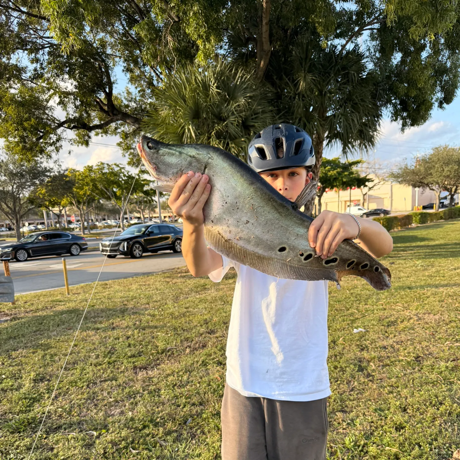 The most recent Clown knifefish catches on Fishbrain