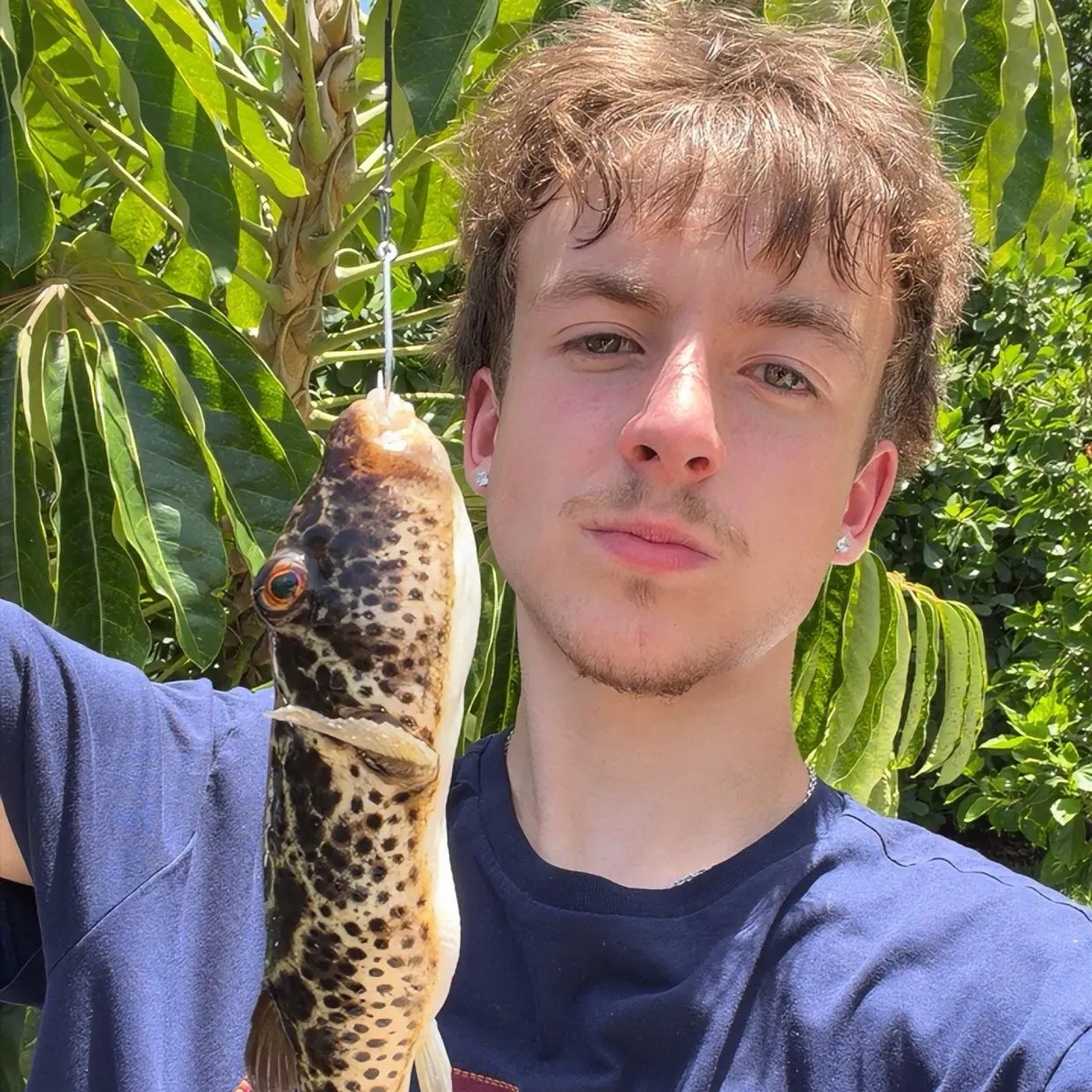 The most recent Bandtail puffer catches on Fishbrain