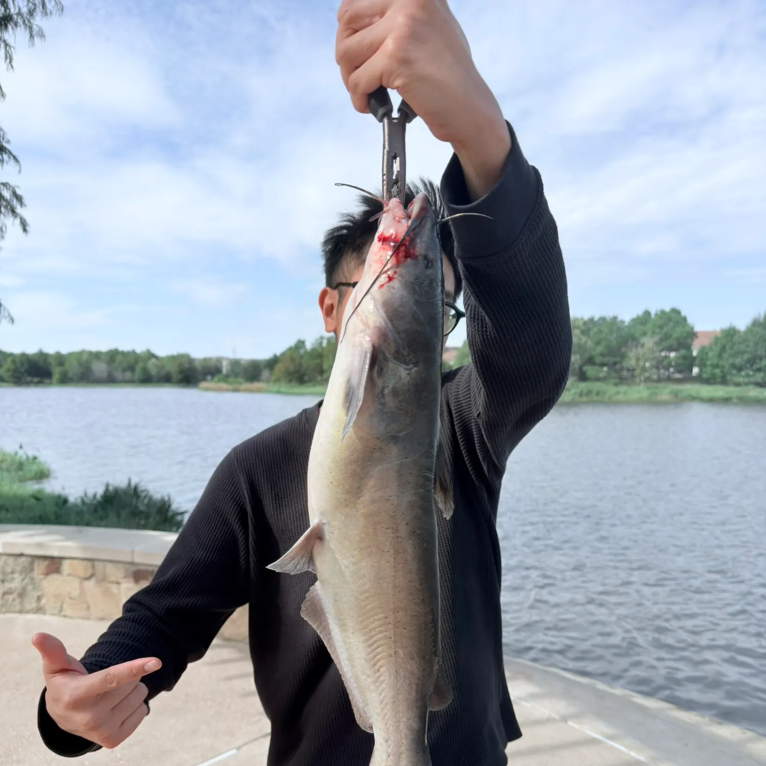 Channel catfish caught on Fishbrain