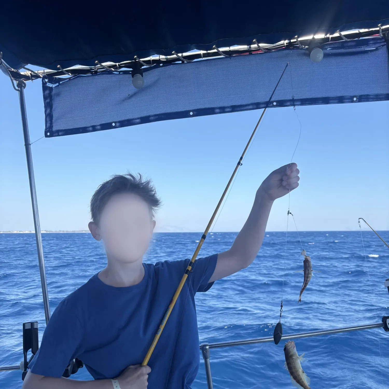 The most recent Comber catches on Fishbrain