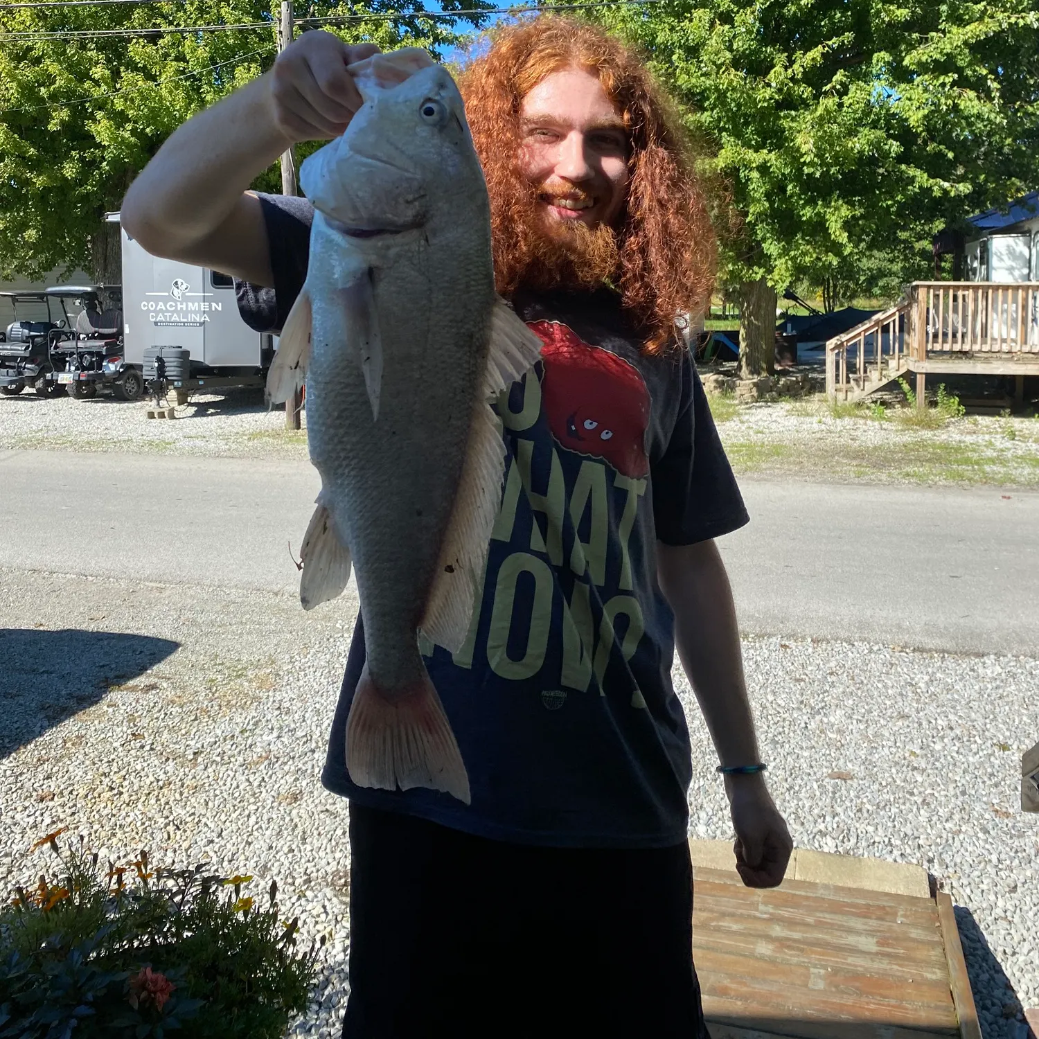 Freshwater drum caught on Fishbrain