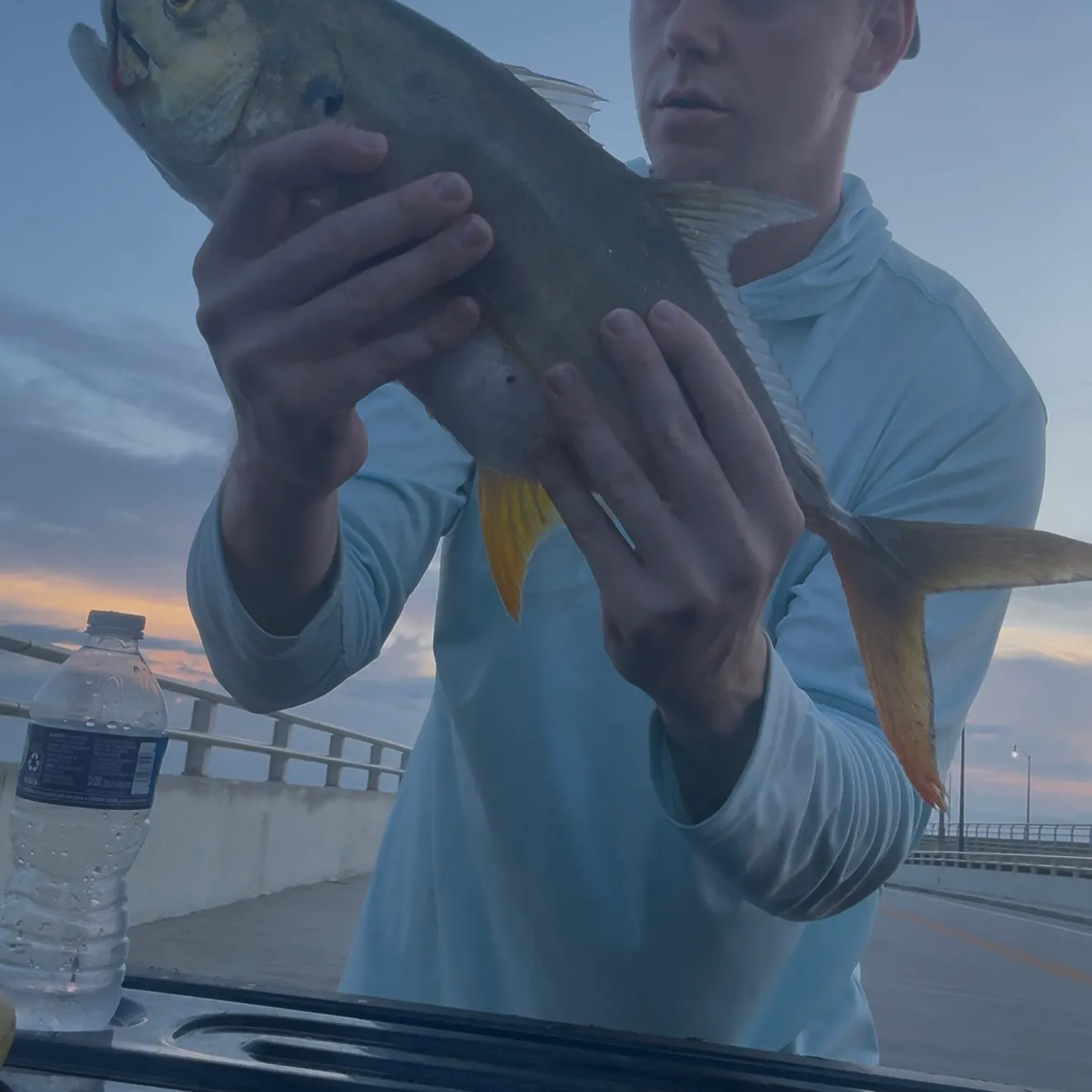 Crevalle jack caught on Fishbrain