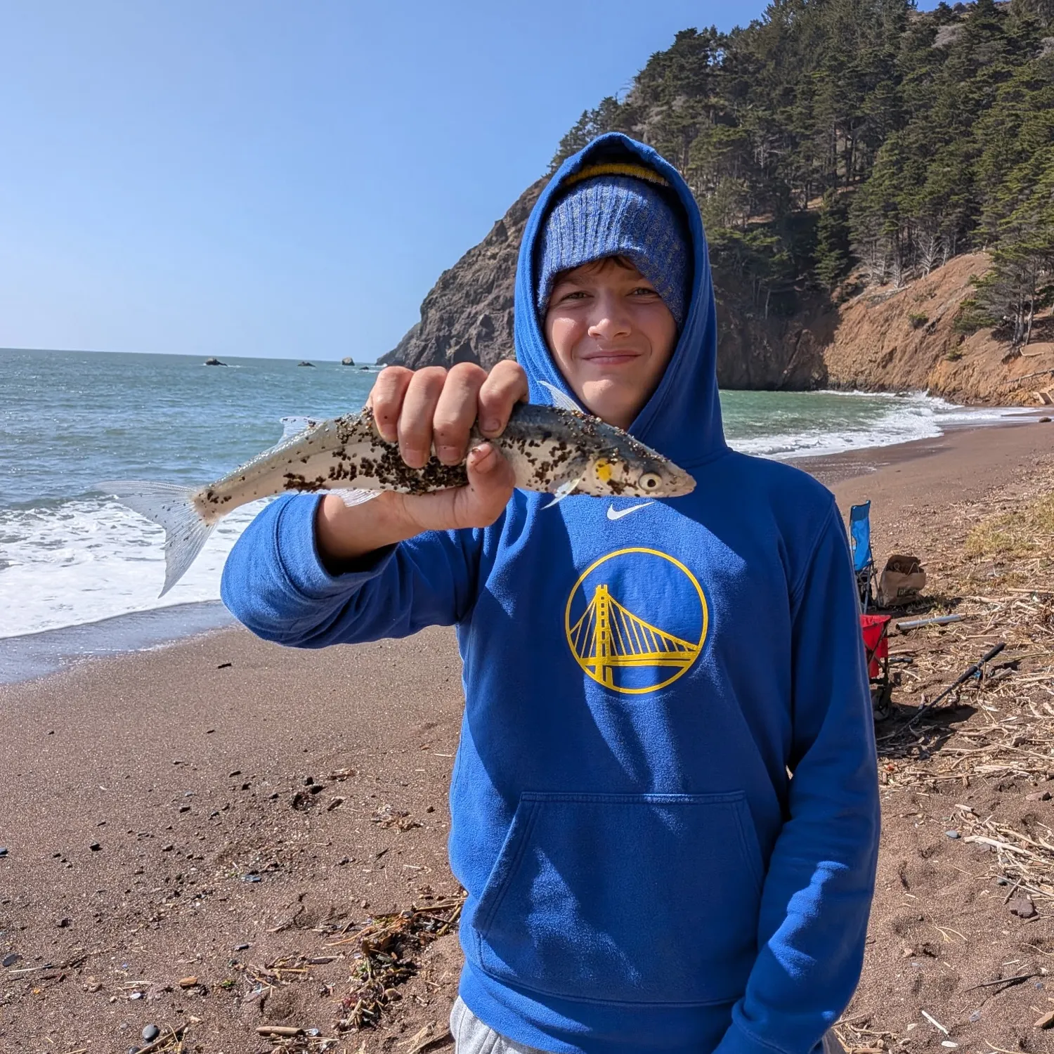 The most recent Surf smelt catches on Fishbrain