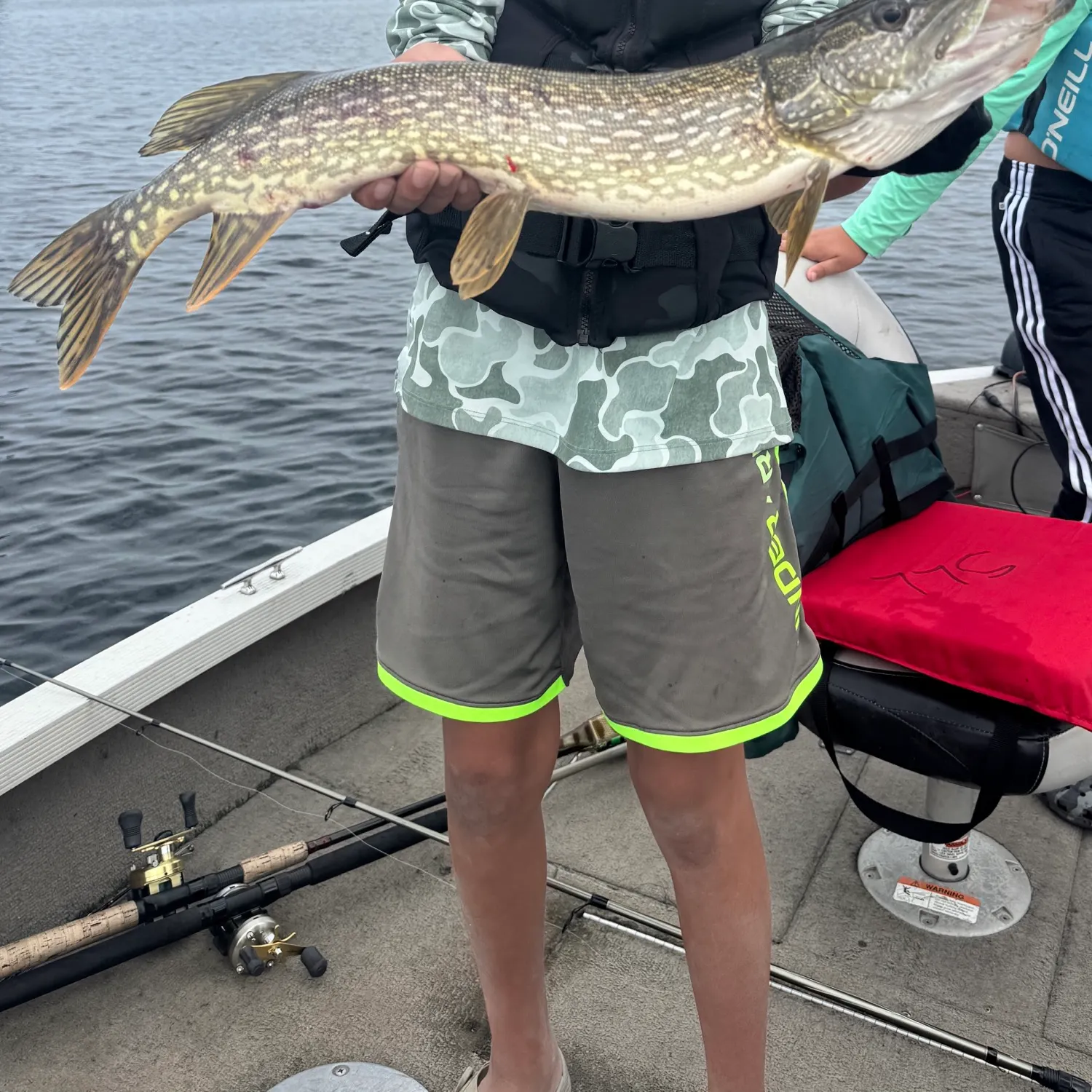 Northern pike caught on Fishbrain