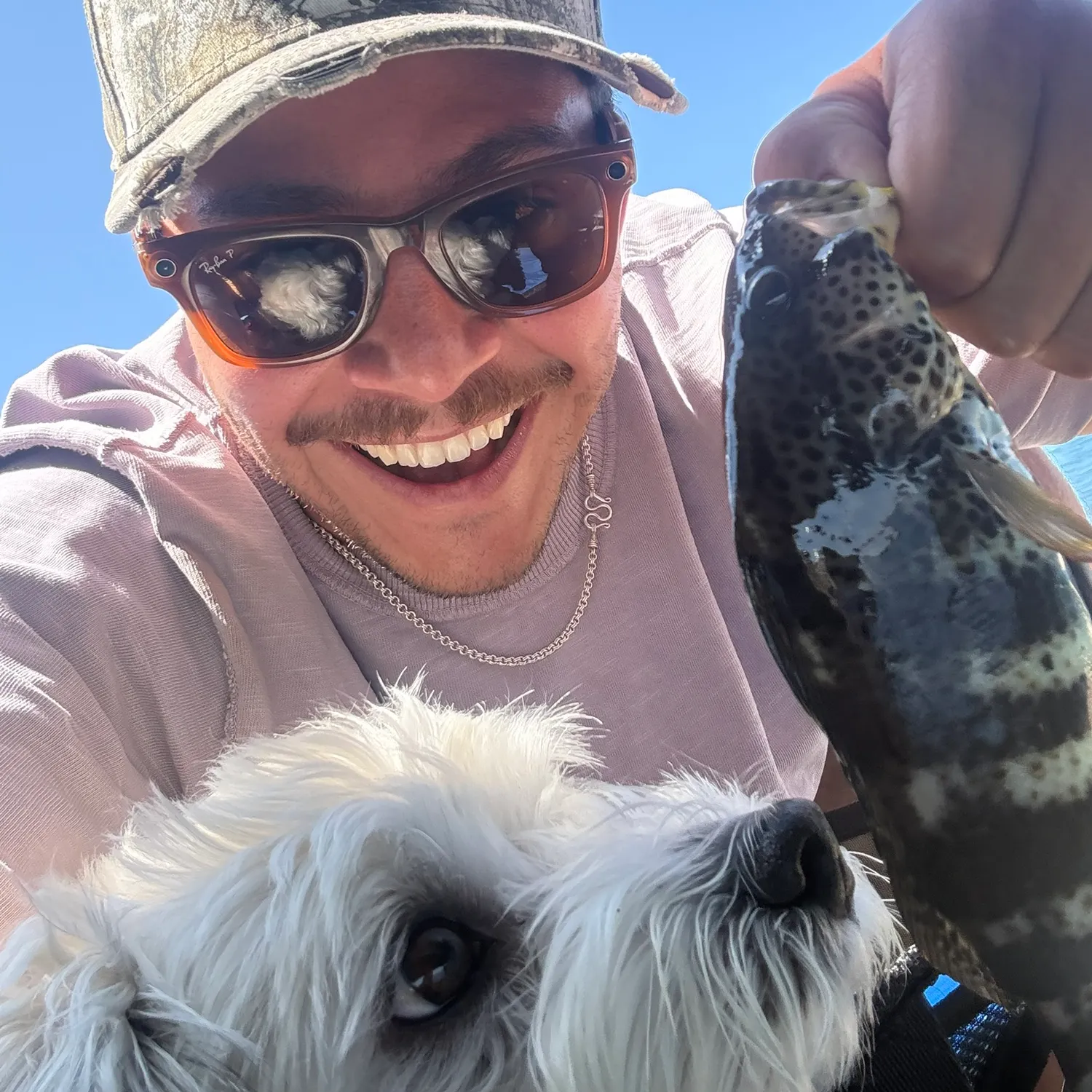 Spotted sand bass caught on Fishbrain