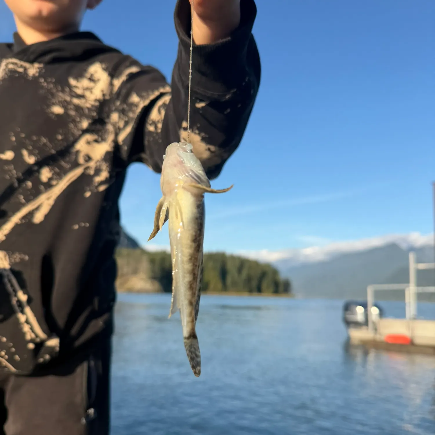 Prickly sculpin caught on Fishbrain