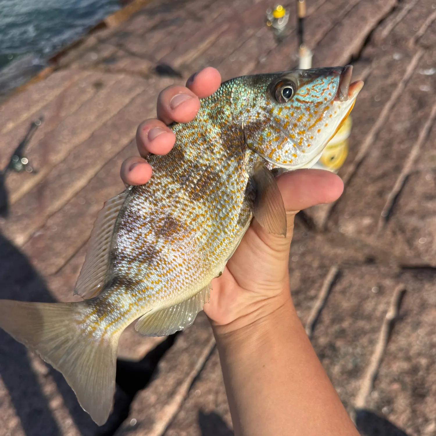 catch