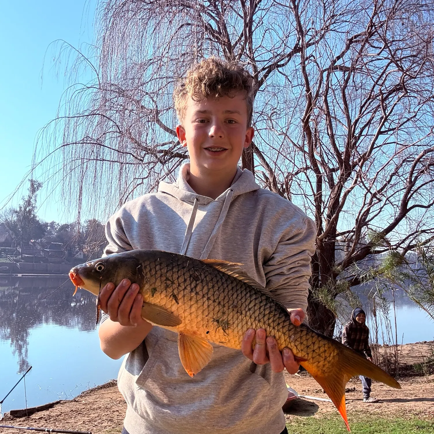 Common carp caught on Fishbrain