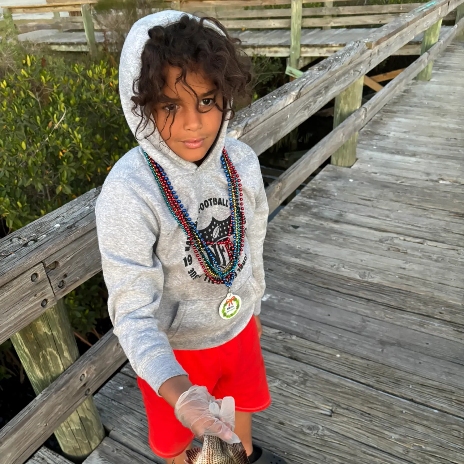 The most recent Mangrove snapper catches on Fishbrain